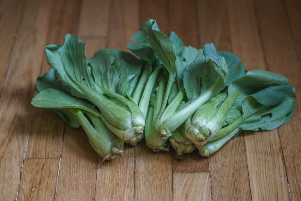 Garlicky Bok Choy