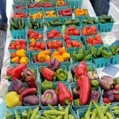 Hot Peppers In Cool Weather