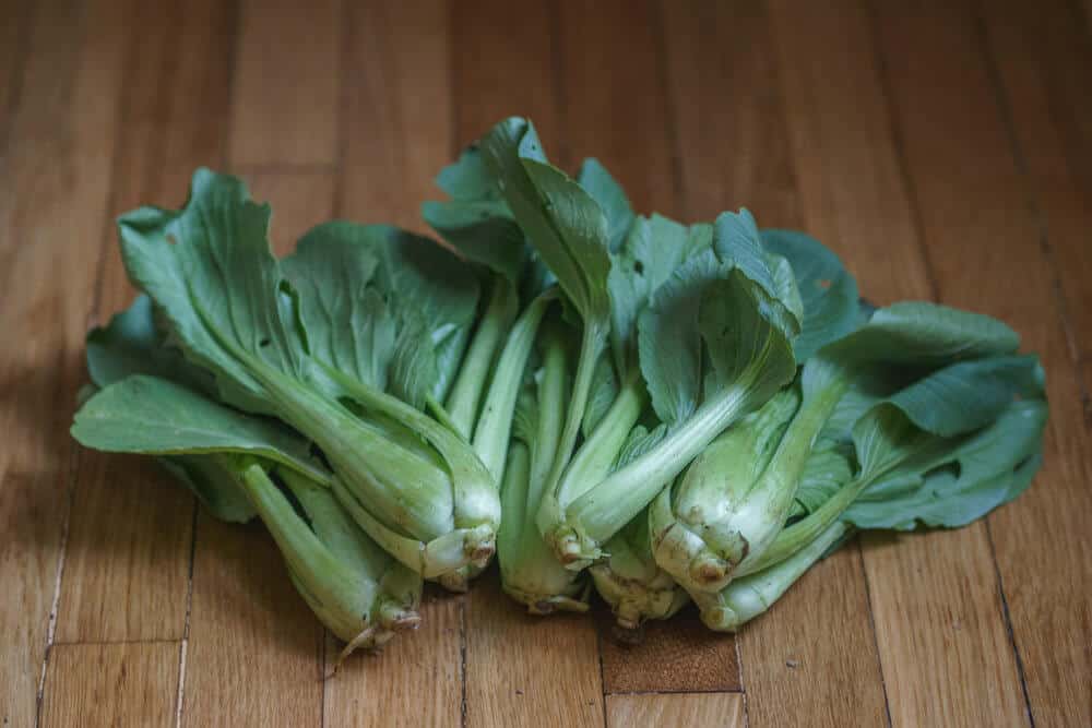 Fresh pac choi on table