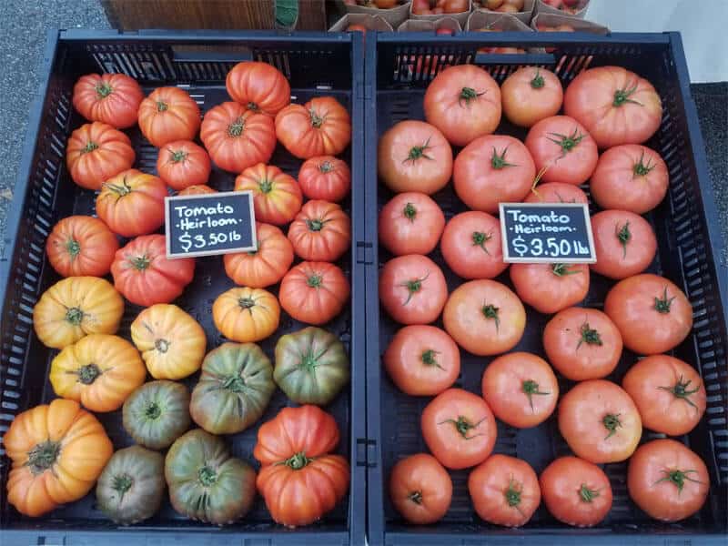 Heirloom tomatoes for sale