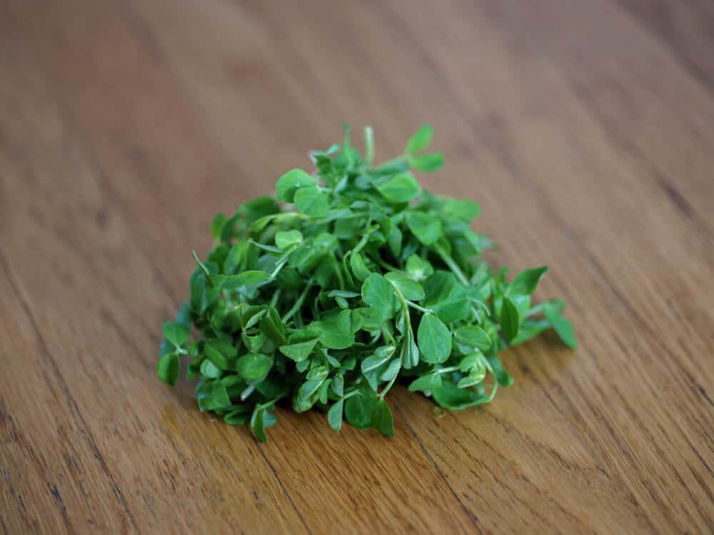 Pea shoots on the table