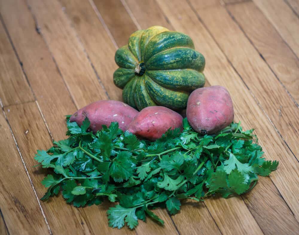 Squash, potatoes, and cilantro on a table