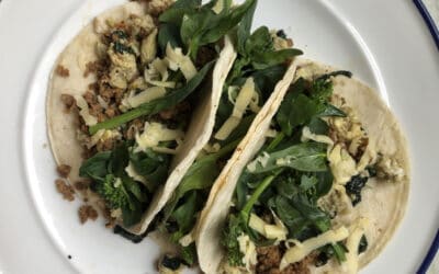 Breakfast Tacos