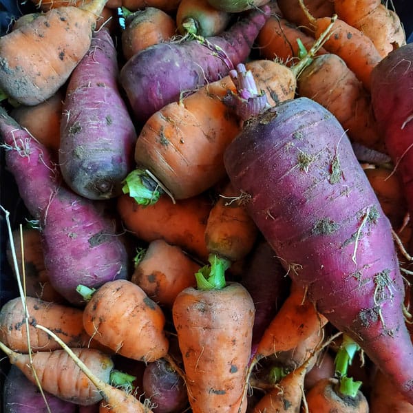 bird-fork-farm-root-veggies Bird Fork Farm root veggies