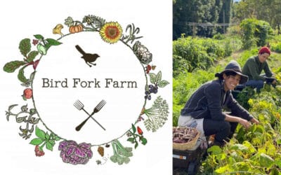 Bird Fork Farm Can Be Your New BFF