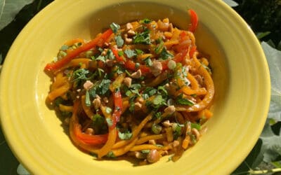 Stir Fried Sesame Ginger Butternut Squash Noodles