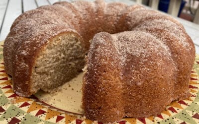 Apple Cider Donut Cake 🍎🎄