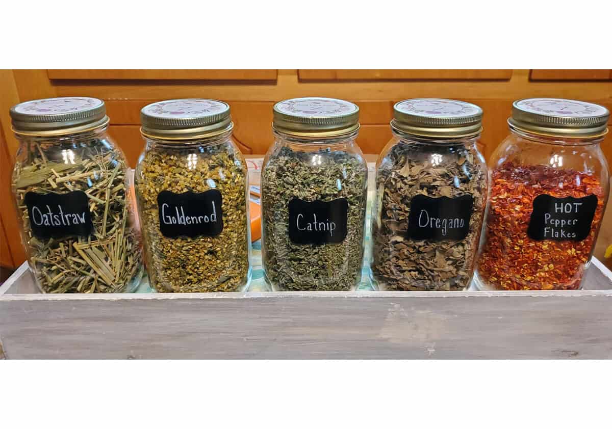 Various spices lined up in glass jars
