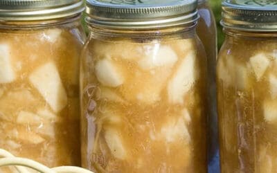 Canning 101: Spiced Apples
