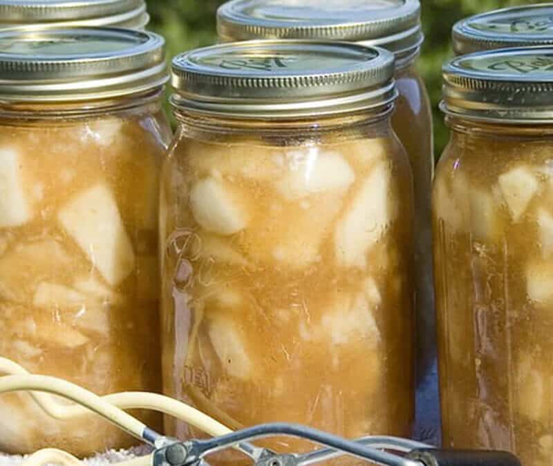 Canning 101: Spiced Apples