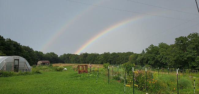 bird-fork-farm-rainbows Bird Fork Farm root veggies