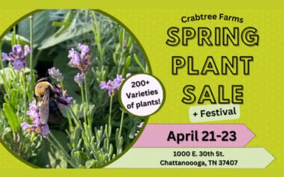 Spring Plant Sale + Festival