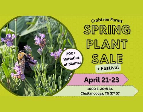 Spring Plant Sale + Festival