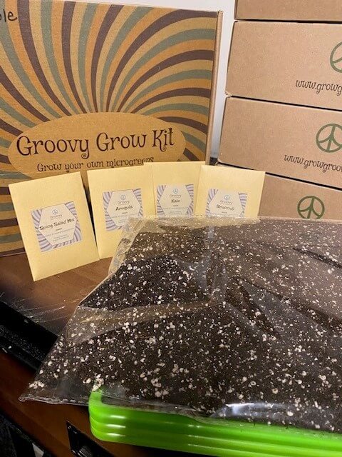 Groovy Gardens grow kit