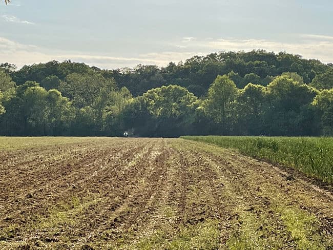 Riverview Farms Milling field