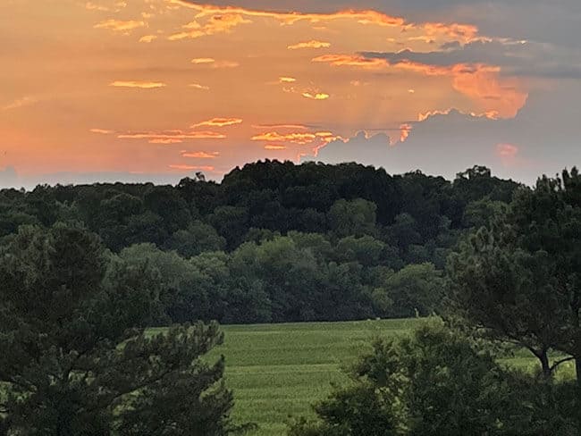 Riverview Farms Milling sunset