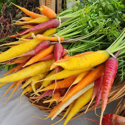 Home - Main Street Farmers Market
