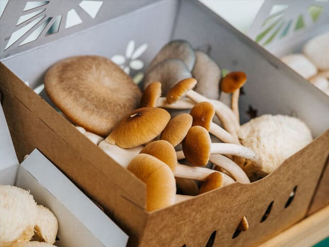 River's Ridge Farms mushrooms in a box
