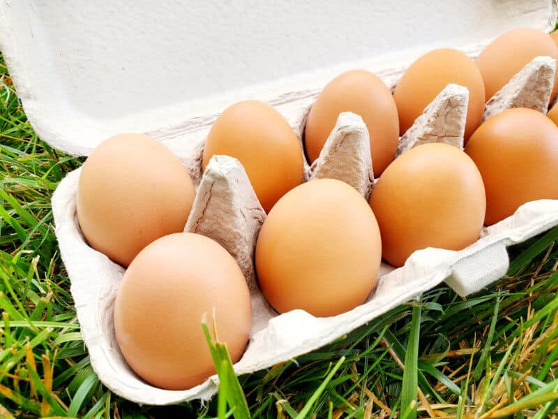 Good Measure Farm eggs in carton