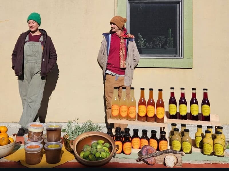 Stem & Stipe - Logan and Katie